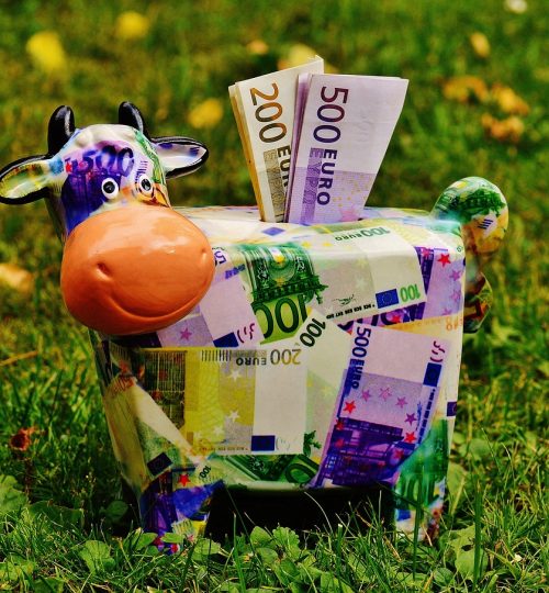 piggy bank, money, cow-1510525.jpg
